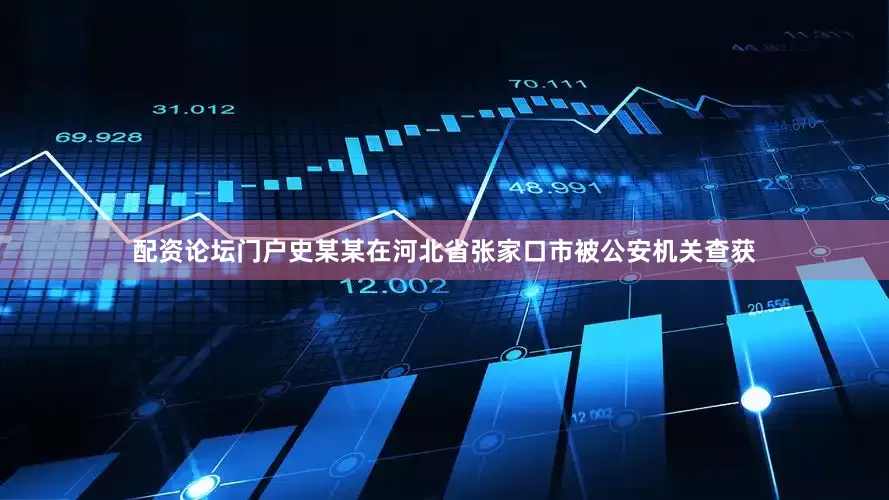 配资论坛门户史某某在河北省张家口市被公安机关查获