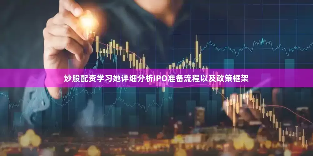 炒股配资学习她详细分析IPO准备流程以及政策框架