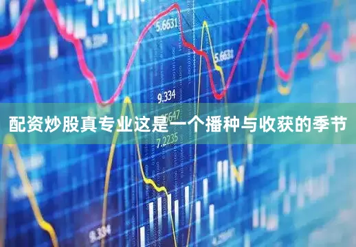 配资炒股真专业这是一个播种与收获的季节